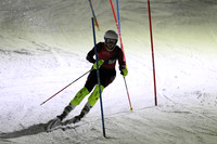 sps_0009_1008223007