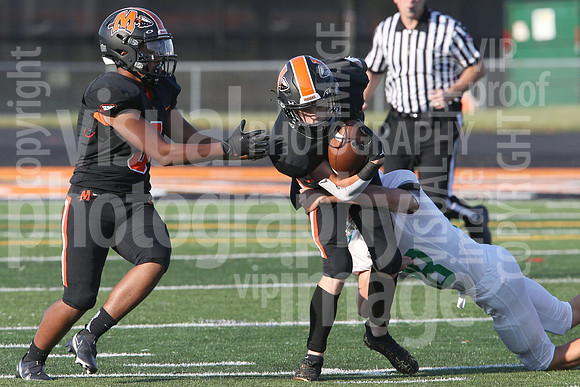sps_0021_1007031074
