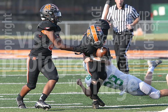 sps_0022_1007031075