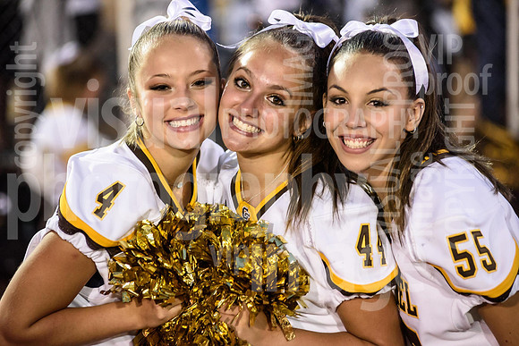 sps_0009_1007141716