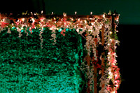 sps_0004_1036754303