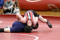 Wrestling