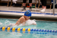 WTHS_017