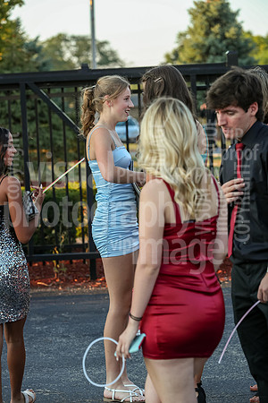 sps_0029_1007156078