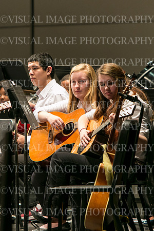 HWFM-Guitar_0039