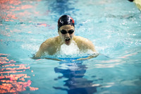 SVHS_019