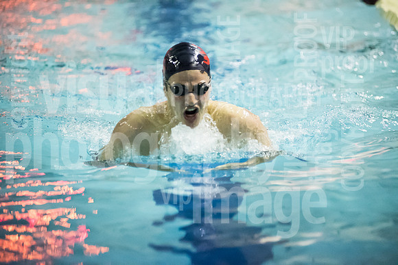 SVHS_019