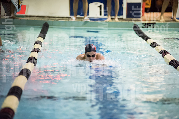 SVHS_018