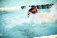 SVHS_013