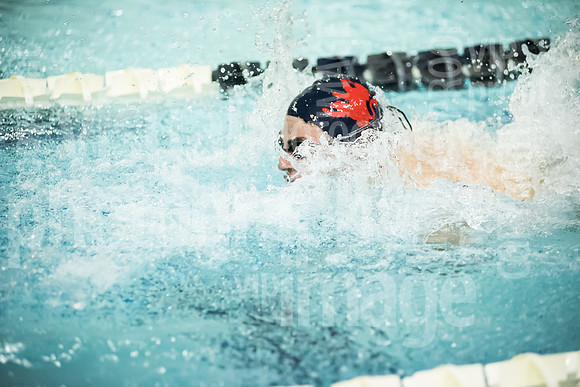 SVHS_013