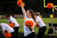 sps_0019_1007429747