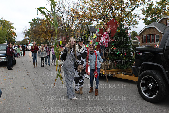 FDHS_040