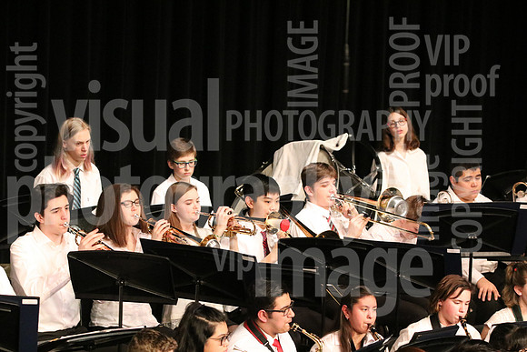 band-029