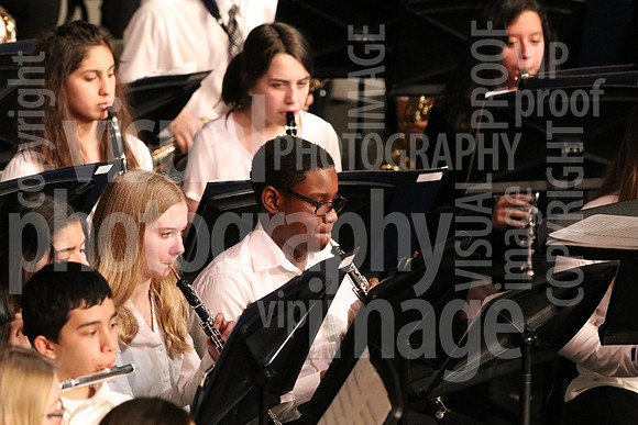 band-031