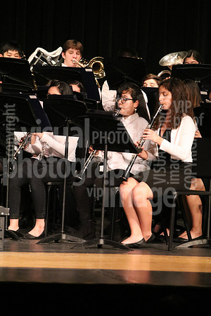 band-045