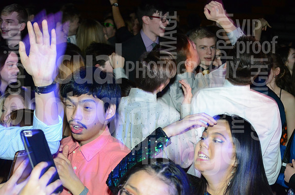 springfling-026
