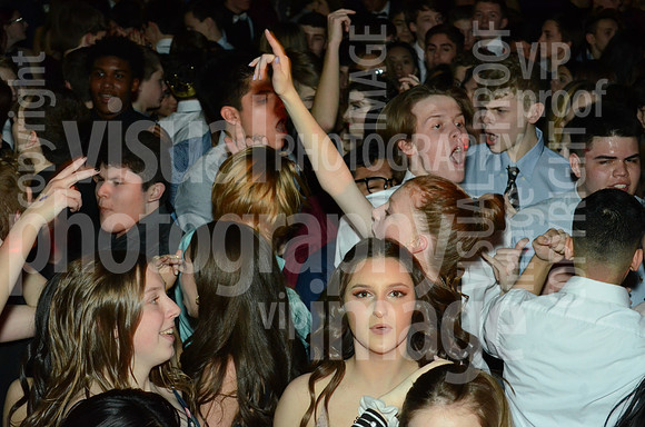 springfling-030