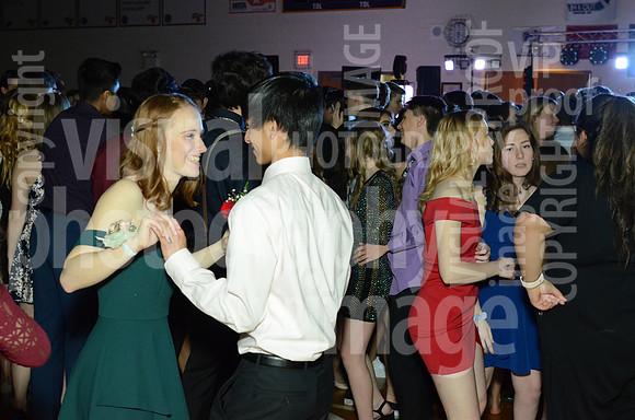 springfling-035