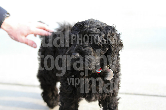 sps_0032_9883443