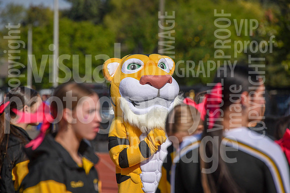 sps_0021_1007567080