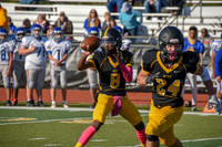 sps_0011_1007566411