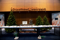 sps_0010_0002812
