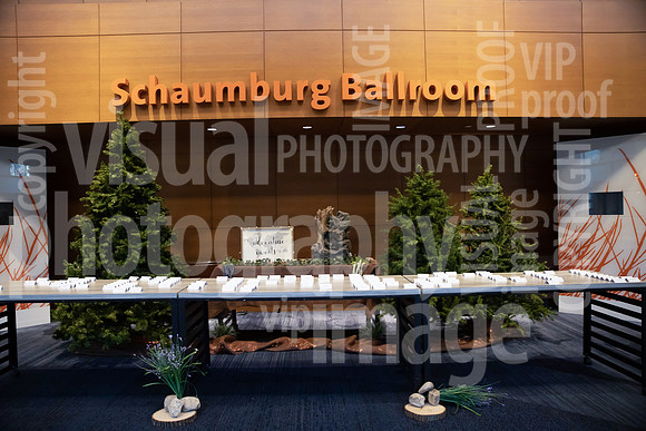 sps_0010_0002812