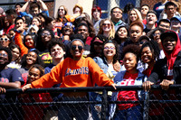 sps_0010_0003666
