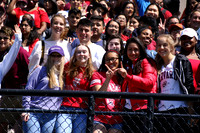 sps_0013_0003672