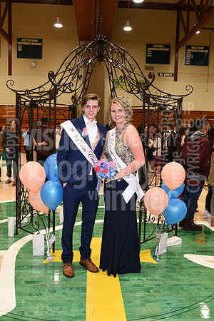 sps_0239_0009724