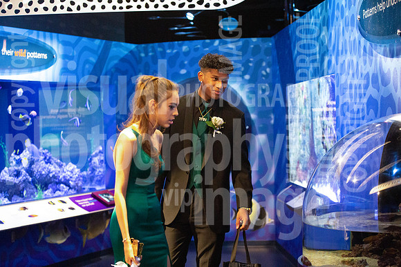 sps_0040_0036689