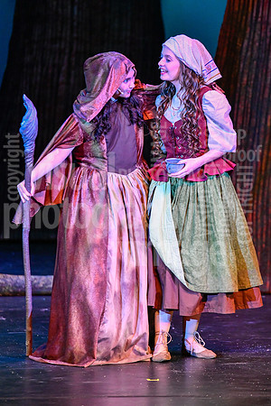 sps_0360_0020995
