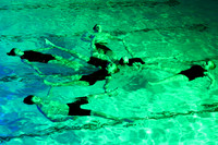 sps_0009_0022112