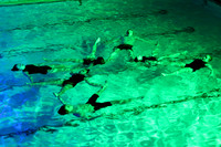 sps_0008_0022107