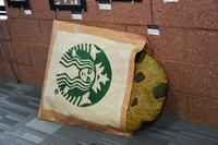 sps_0009_0034798