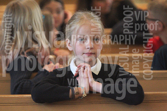 sps_0017_0121801