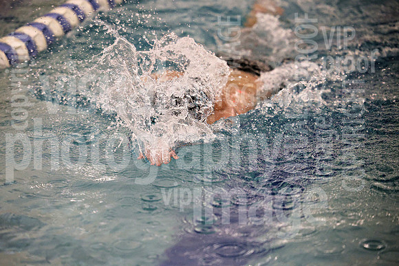 sps_0019_1034847504
