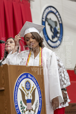sps_0017_0162935