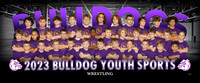 Wrestling