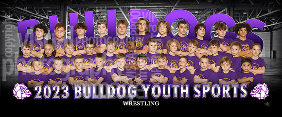 Wrestling