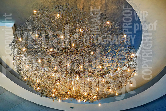 sps_0014_1036884518