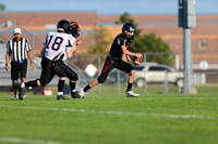 sps_0529_0806141