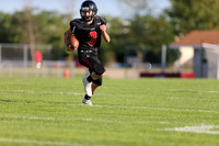sps_0541_0806154