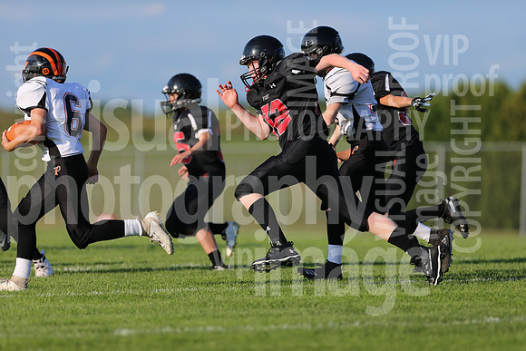 sps_0580_0806194