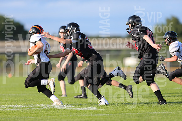 sps_0584_0806197