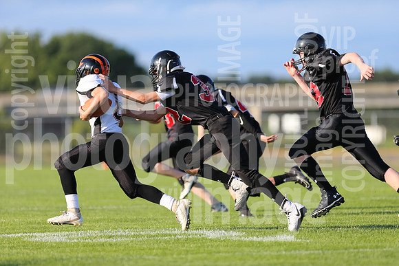sps_0585_0806199