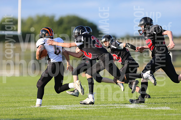 sps_0586_0806198
