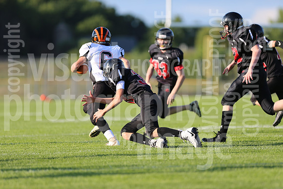 sps_0588_0806203