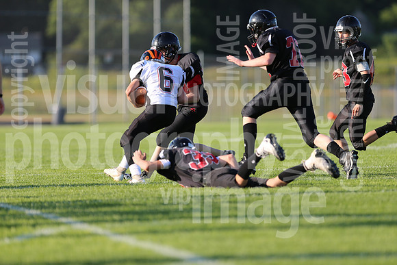 sps_0590_0806204
