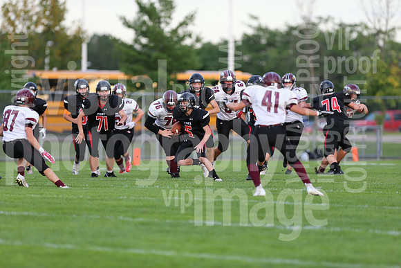 sps_0785_0806629